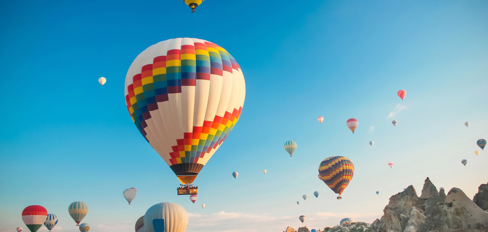 Tell us what you are looking for